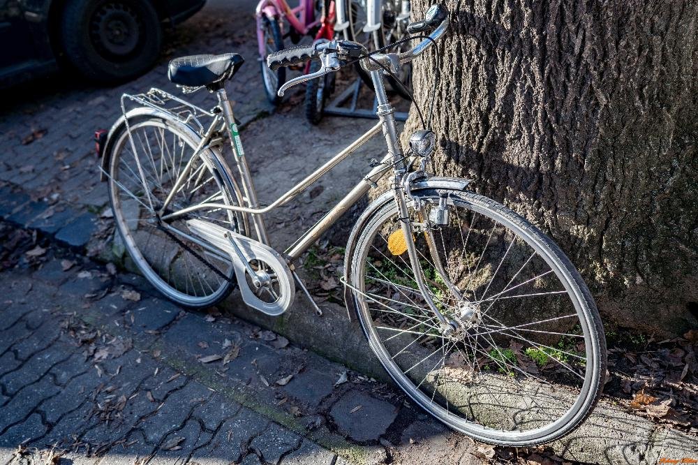 Használt Női városi kerékpár Enik Damen Rad (53cm)